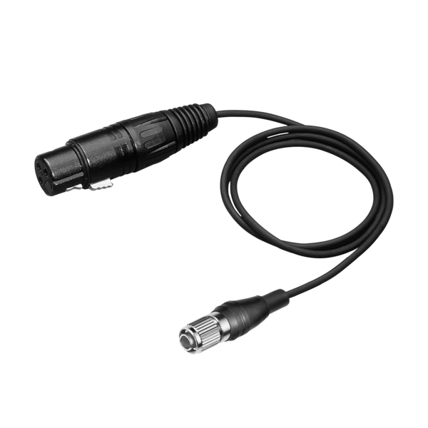 XLRCH MICROPHONE INPUT CABLE; XLR TO CH